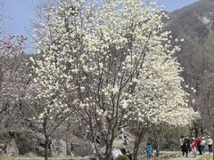 -秦岭终南山世界地质公园翠华山景区
