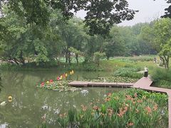 -西溪国家湿地公园