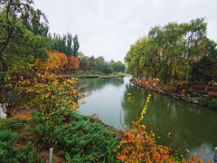 -大兴滨河森林公园