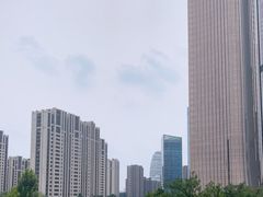 -大望京公园