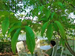 -仙海旅游度假区