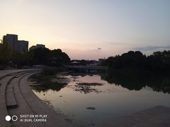 -新江湾城公园
