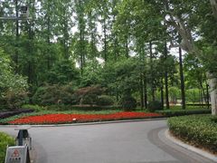 -徐家汇源景区-衡山公园
