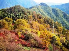 -四明山国家森林公园