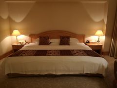 -南京维景国际大酒店(南京博物院店)