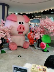 -多元宝贝世界(曲江彩虹谷店)