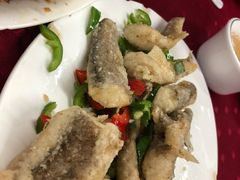 -蛇口康乐快餐鱼仔档(翠苑小区店)