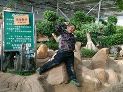 -北戴河集发农业梦想王国