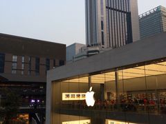 -Apple零售店(成都太古里店)