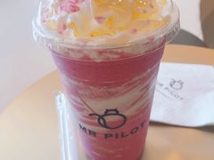 独角兽奶昔-飞行喵MR PILOT|猫舍·猫咖(静安大融城店)