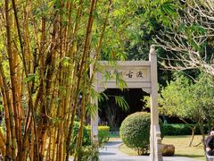 -晓港公园