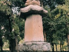 -四门塔风景区