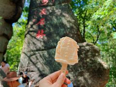 -汤旺河林海奇石景区