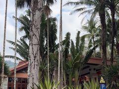 -七仙岭君澜度假酒店