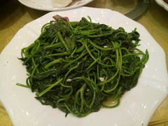 蒜蓉炒番薯叶-汇景花园酒家(基立下道店)