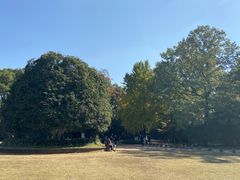 -灵谷景区