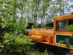 -合肥滨湖国家森林公园