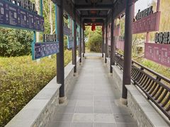 -东台西溪天仙缘景区