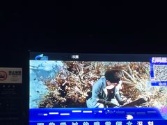 -998KTV(民治民乐店)