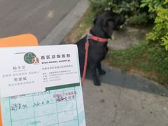 -荣耀金沙动物医院(清江西路店)