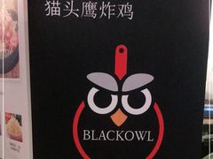 -猫头鹰炸鸡