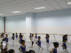 -陕西省小天鹅艺术团