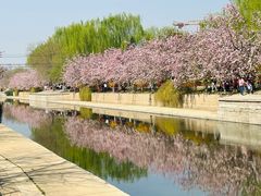 -海棠花溪(元大都城垣遗址公园)