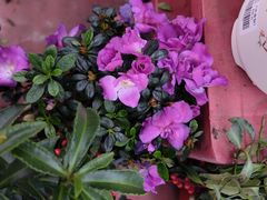 -大润发(梅兰东路店)