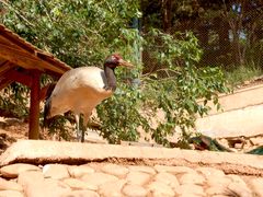 -青藏高原野生动物园