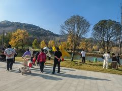 -千年银杏谷文化旅游区