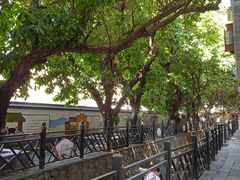 -小洲村