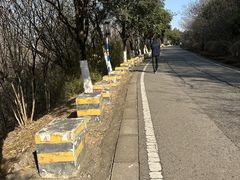 -羊山湖公园