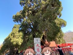 -四门塔风景区