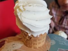 -野人牧坊Gelato(天津南开大悦城店)