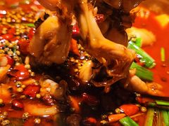 -宽口美蛙鱼头(大唐西市店)