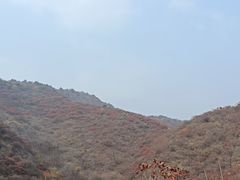 -水峪民俗村