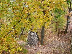 -帽儿山国家森林公园