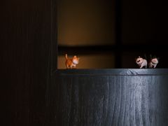 -Fukumimi·美醉堂 居酒屋(金尚店)