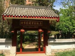 -咖啡CHA自助餐厅(香格里拉饭店)