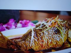 -津菜宋记老房子(鼓楼店)
