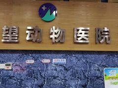 -瑞派名望志远动物医院·猫科·內科·异宠专科(直港大道店)