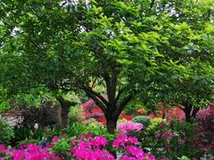 -南岳衡山风景名胜区-南岳大庙