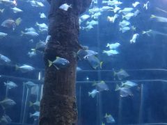 -厦门海底世界
