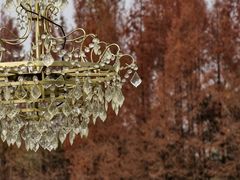 -白鹭湾湿地公园