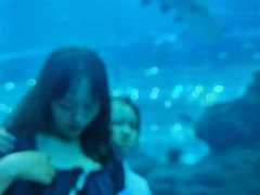 -成都浩海立方海洋公园