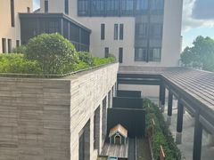 -上海崇明金茂凯悦酒店