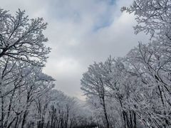 -安吉龙王山风景区