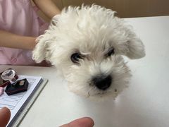 -美迦爱-牙专科·兔科·骨科诊疗中心(北苑店)