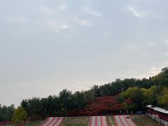 -南翠屏公园