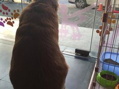 -暖阳宠物医院·犬猫康复中心·骨科